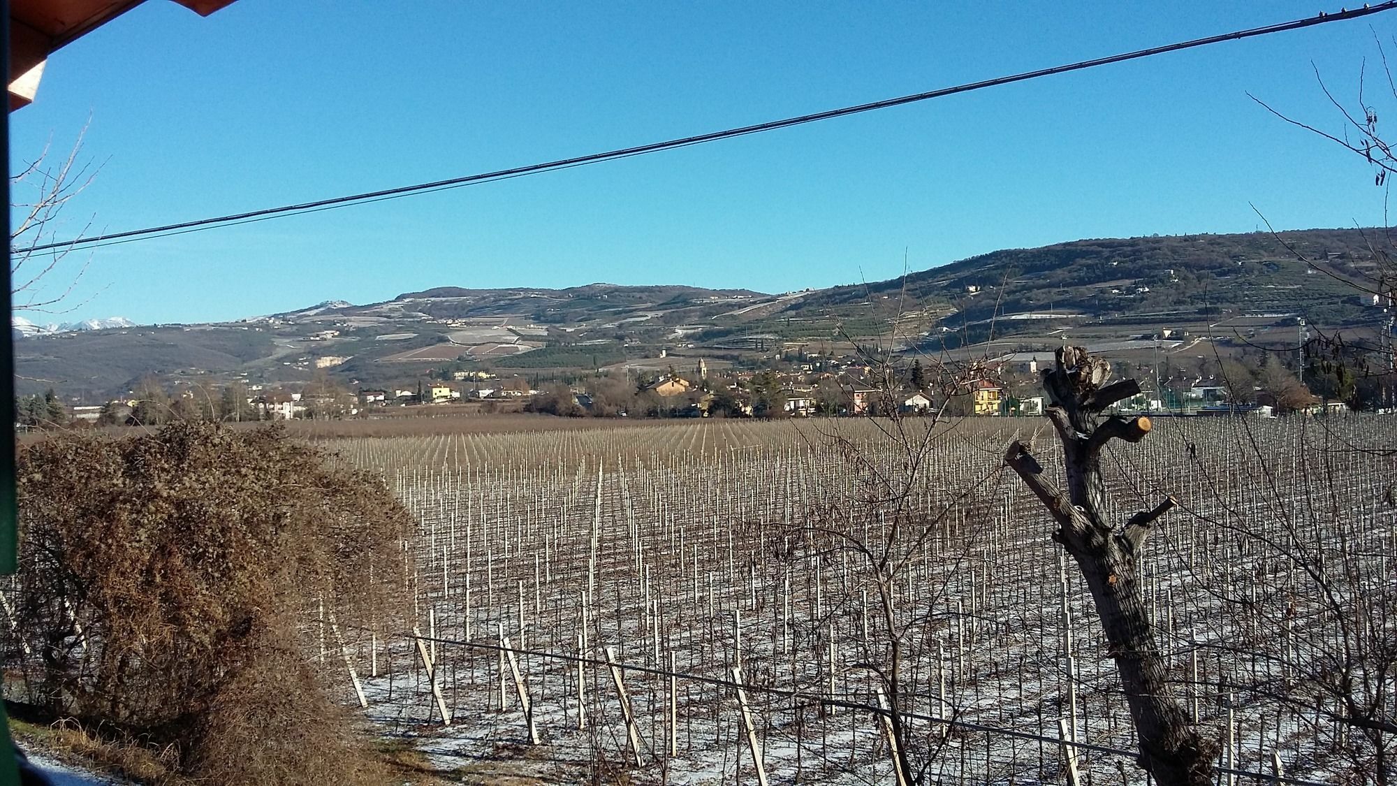 Agriturismo Corte Carolina Verona Bagian luar foto