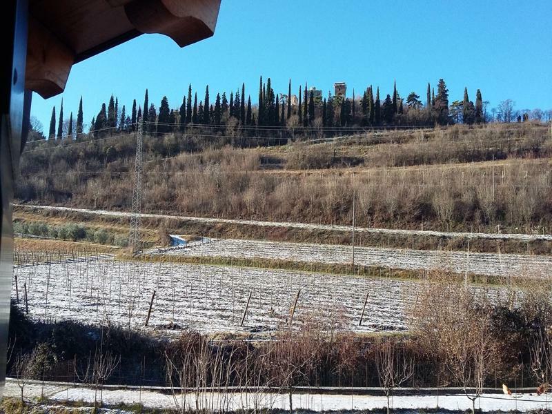 Agriturismo Corte Carolina Verona Bagian luar foto